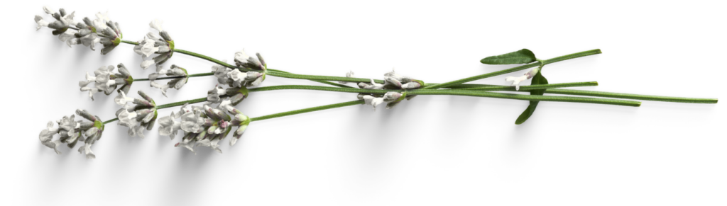r010 (8)
